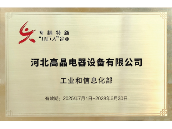 专精特新小巨人企业